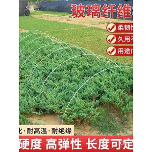 小拱棚支架拱杆骨园竿大棚内ITK棚农套棚架玻璃纤维杆地膜艺业使