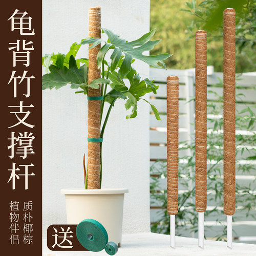 新品龟背竹支撑杆植物绿萝攀爬柱爬藤固定神器棕榈椰棕柱老桩防倒