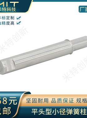 MPFLT/MPFHT平头型不锈钢行程小径弹簧柱塞MT601/MT602定位销