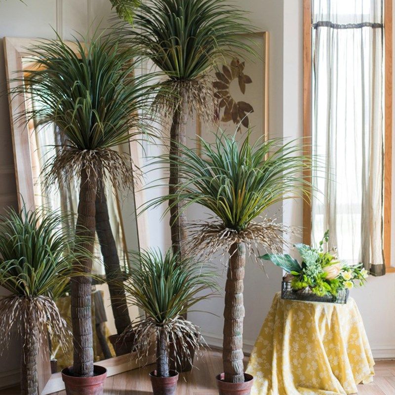 北欧仿真摩洛哥龙舌兰绿植盆栽大型热带植物室内装饰橱窗陈列盆景,包装,包装胶带,淘宝优惠券,粉丝福利购,淘宝优惠卷