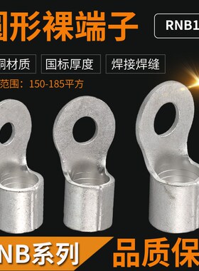 5只RNB150-10/12铜鼻120平方端子国标紫铜材质镀锡KF/国赛同款