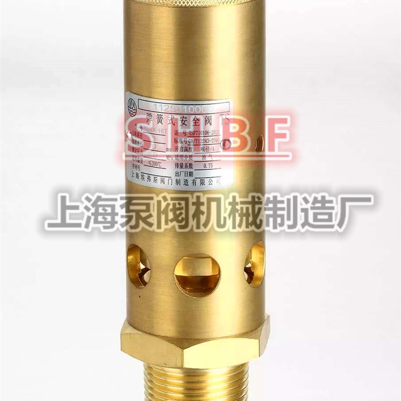 英格索兰弹簧式安全阀A28X-16T AK22X-16T上海埃弗斯安全阀