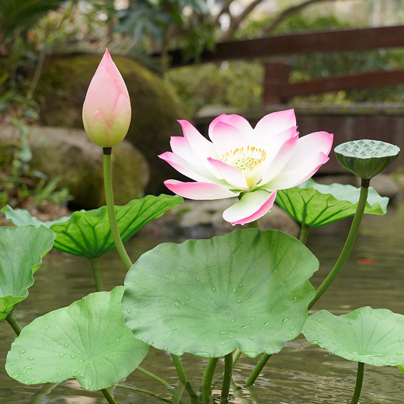 仿真荷花pu带杆荷叶荷花单枝装饰假花水池水面莲花绢花莲蓬大荷