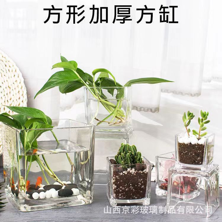 水培花瓶方形鱼缸花盆透明养花器皿绿萝白掌桌面居家水养玻璃方缸
