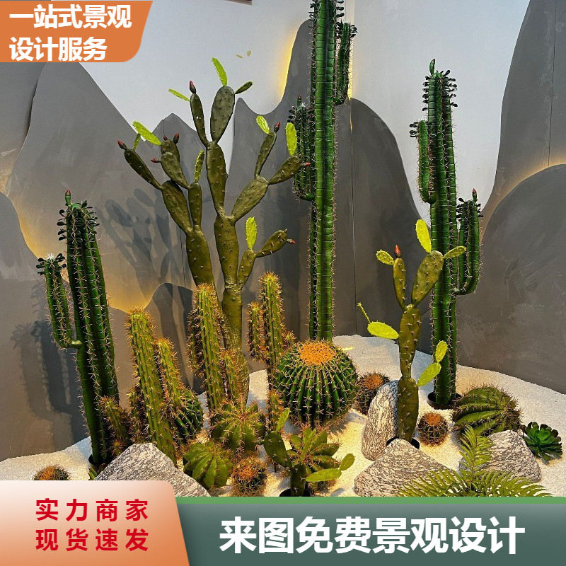 文人盆景黑松五针松大阪松宫岛千寿丸松黑松造型盆景绿植盆栽