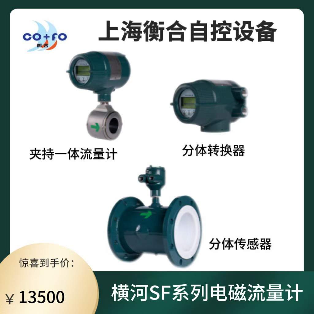 YOKOGAWA 横河 ADMAG SF系列 分体电磁流量计