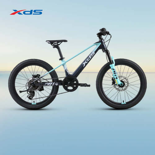 喜德盛2025款镁合金青少年山地车