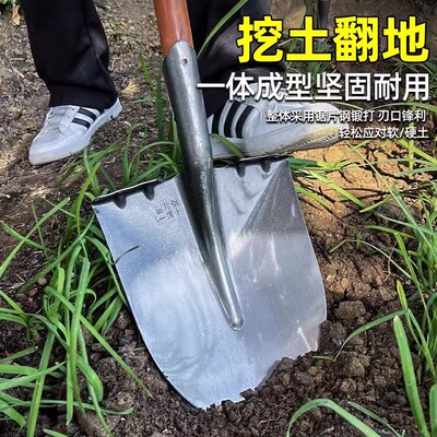 锄头种菜专用工具套装家用铁x锹耙子种地菜园松土种植农用工具大