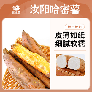 豆逸谷汝阳蜜薯4-8两果5斤装新鲜红皮白心糖心红薯现挖现发哈密薯