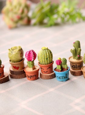 速发仙人掌微景观客厅饰件苔藓多肉摆物装植品可爱迷你