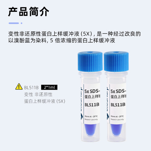 速发BL511A 变性非还原性SDS-PAGE蛋白上样缓冲液(5X)Loadig Buff