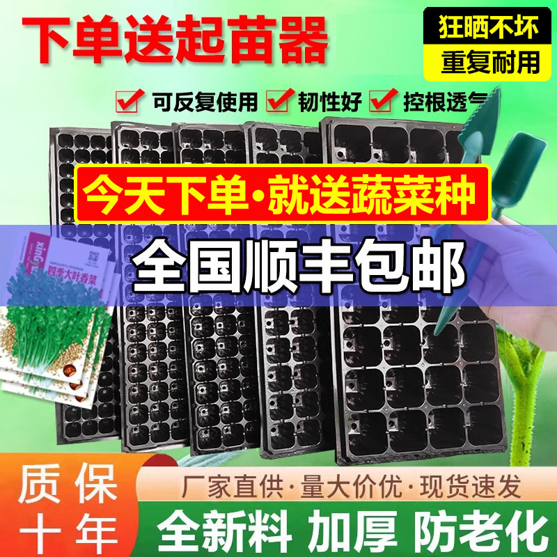 速发营养钵肉苗盘育苗盆穴盘塑料种多育种植蔬菜育杯扦插营养杯育