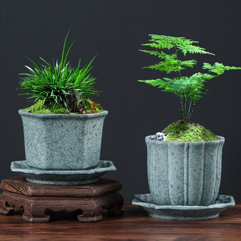 速发多肉陶径花盆带托盘小植物文竹创意 口瓷菖蒲老桩盆 简约