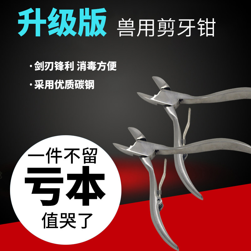 速发兔子剪牙不猪用剪锈钢剪牙齿钳子斜口小仔猪钳锈钢不牙钳