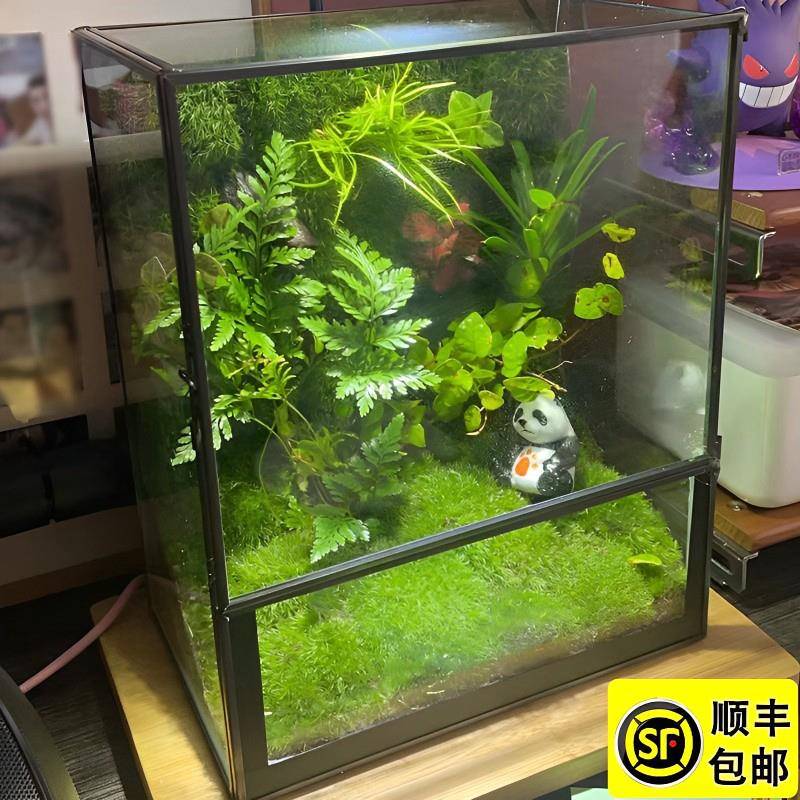 桌面苔藓微景观室内植物造景创意盆栽盆景生态雨林缸森林成品摆件