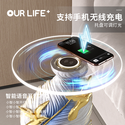 速发羽毛落地摆件客厅大型家居装饰品电视柜沙发旁工艺品乔迁新居