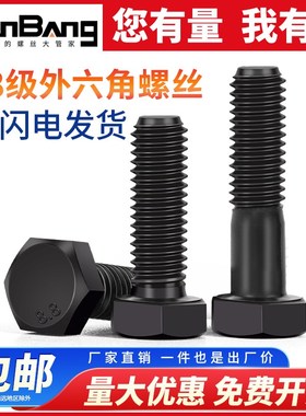 速发8.82高强度外六角螺丝发黑加长大号螺栓M2022M级4M27M046MM8