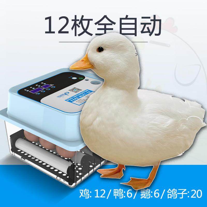 速发雏化机孵化柯尔鸭保温育孵多用两功能自动翻蛋套餐家用水床全,橡塑材料及制品,亚克力管/有机玻璃管,淘宝优惠券,粉丝福利购,淘宝优惠卷