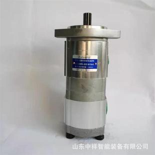 CBK1012 318R采煤机双联泵 煤矿采煤机用双联泵 采煤机齿轮泵