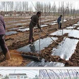 现货黑色新款袋反光膜双色银黑大棚农用薄膜黑白地膜除草膜新款黑