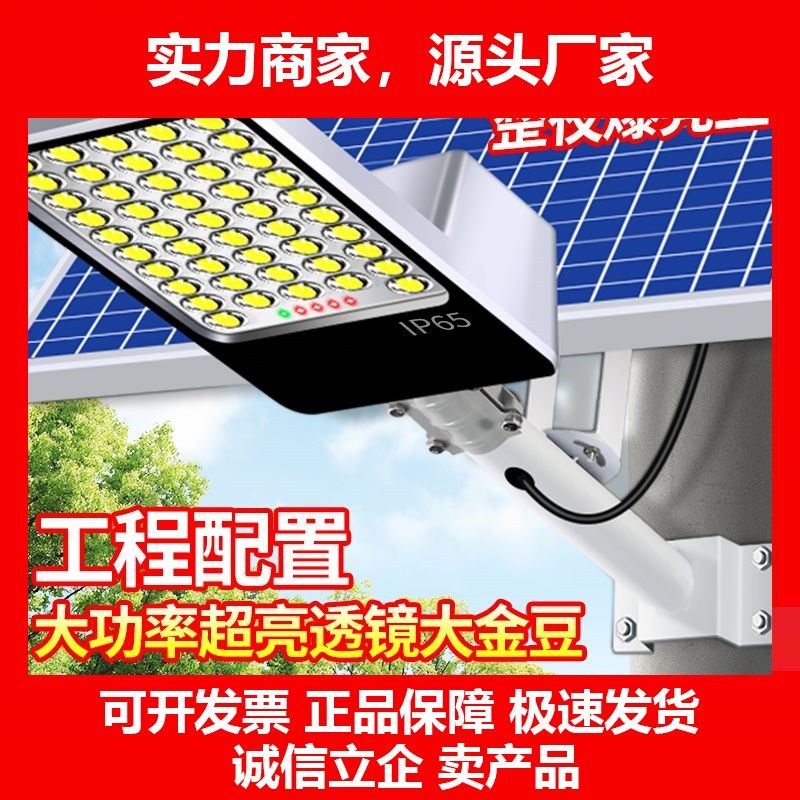 德国十大品牌led太阳能路灯户外照明灯家用灯户外全自动超亮防水