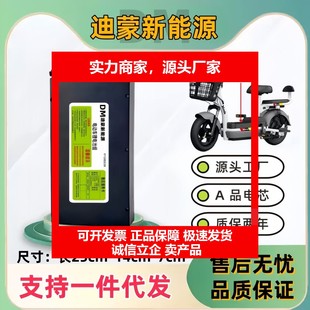 德国十大品牌电车锂电池48V锂离子小型大容量超威