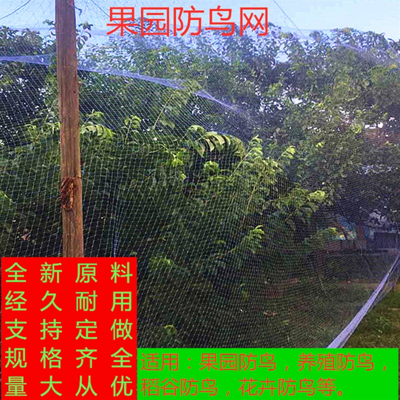 现货速发防鸟网尼龙网谷子网樱桃网葡萄网天网 鱼塘围网果树网养