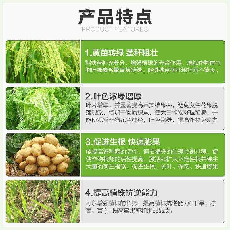 现货速发新疆西藏科沃华叶绿素氨基酸叶面肥壮棵提苗增厚增绿生根