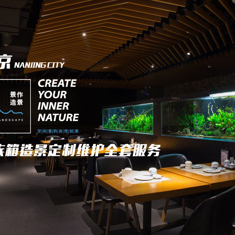 现货速发南京上门水族箱清理造景保养水草海水鱼珊瑚鱼缸办公工程