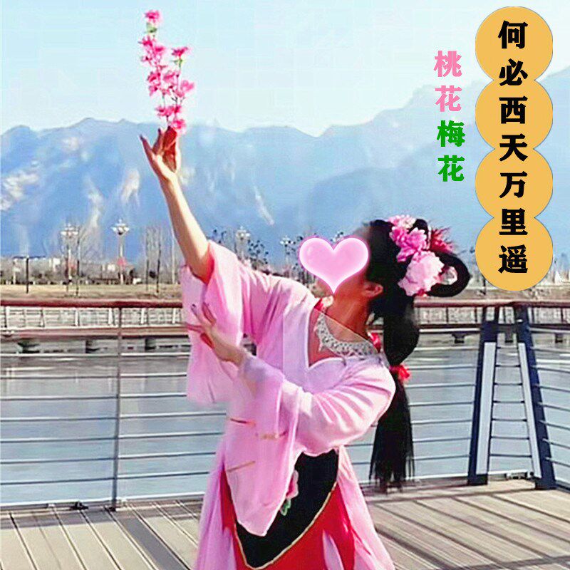 现货速发西游记杏仙何必西天里遥舞蹈粉色桃花红色腊梅花桃夭儿童