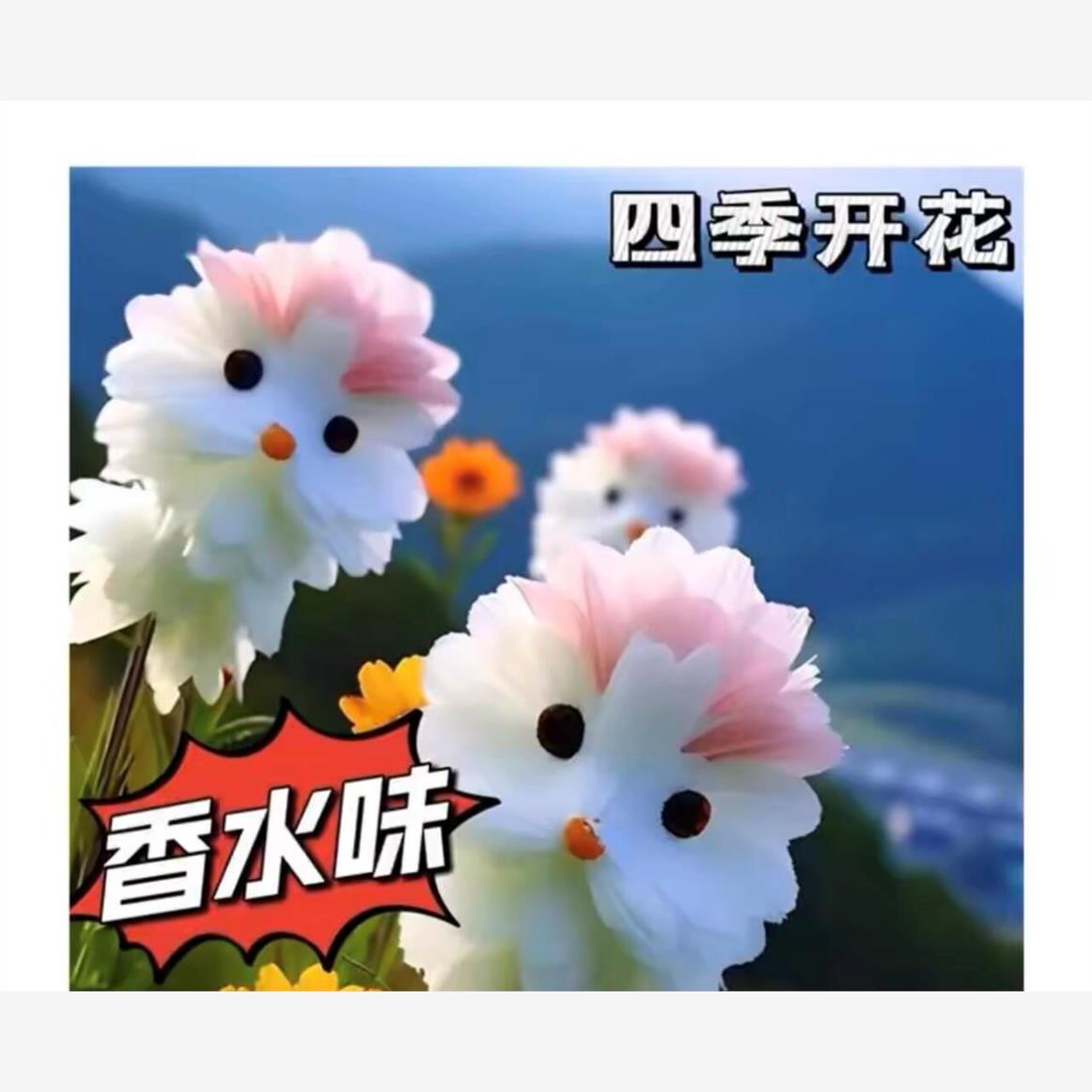 耐寒兰花浓香型花卉盆栽