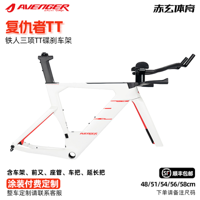 复仇者TM7气动TT铁人三项公路车