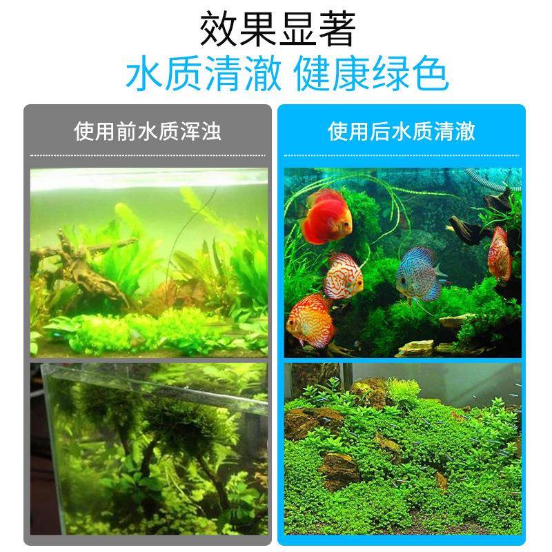 外锦鲤鱼池过循滤器过滤系大型室外水DVT环设备周统转箱过滤箱滤