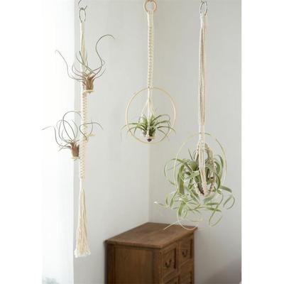 空气凤梨花架波西米亚挂毯花盆垂吊花篮室内绿植盆栽手工编织包邮