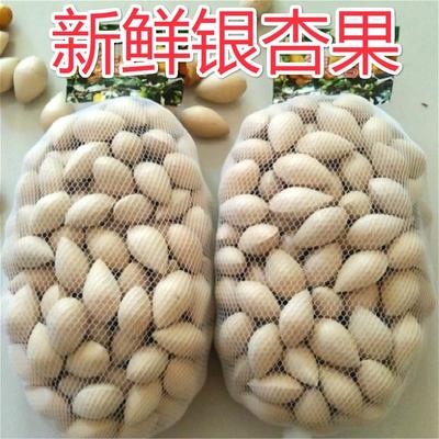 新鲜生白果银杏果2斤包邮（保质保量）鲜白果仁银杏带壳无漂白