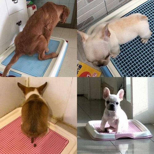 现货速发dog pee mat, pet/ pad,urie,shit dog dirs orbet pad