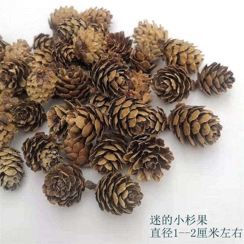 现货速发100朵自然七彩真干燥花雏菊多品种材料包相框装饰幼儿园