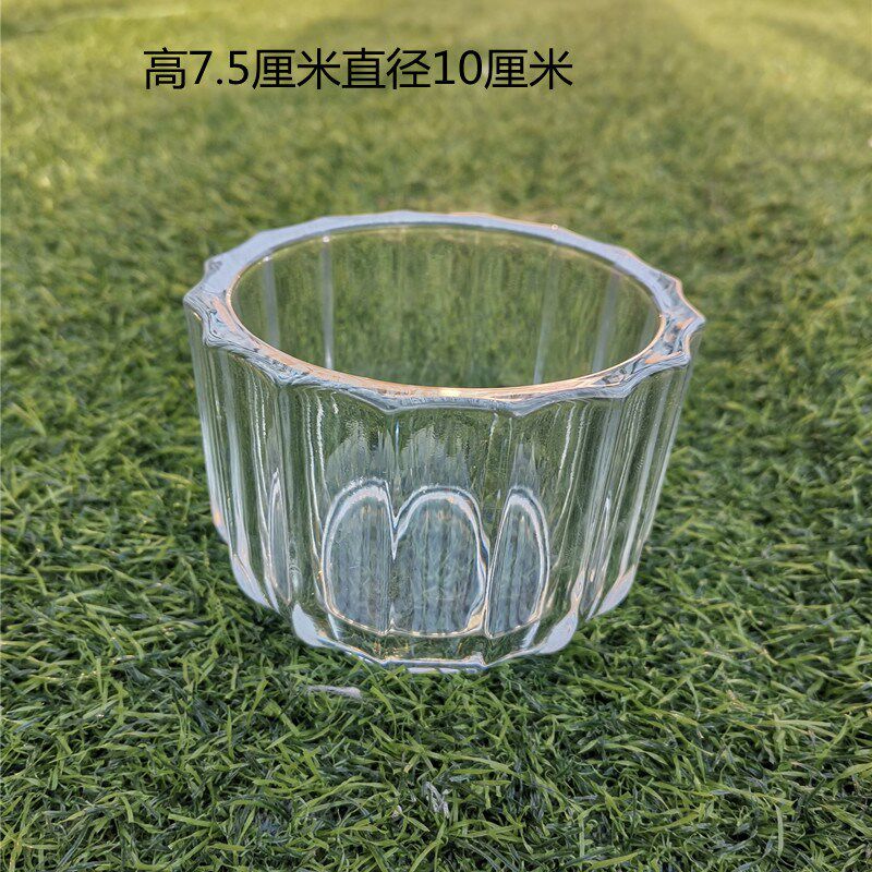现货速发水培郁金香桌面玻璃花瓶容器绿萝简约花盆圆柱形鱼缸水养