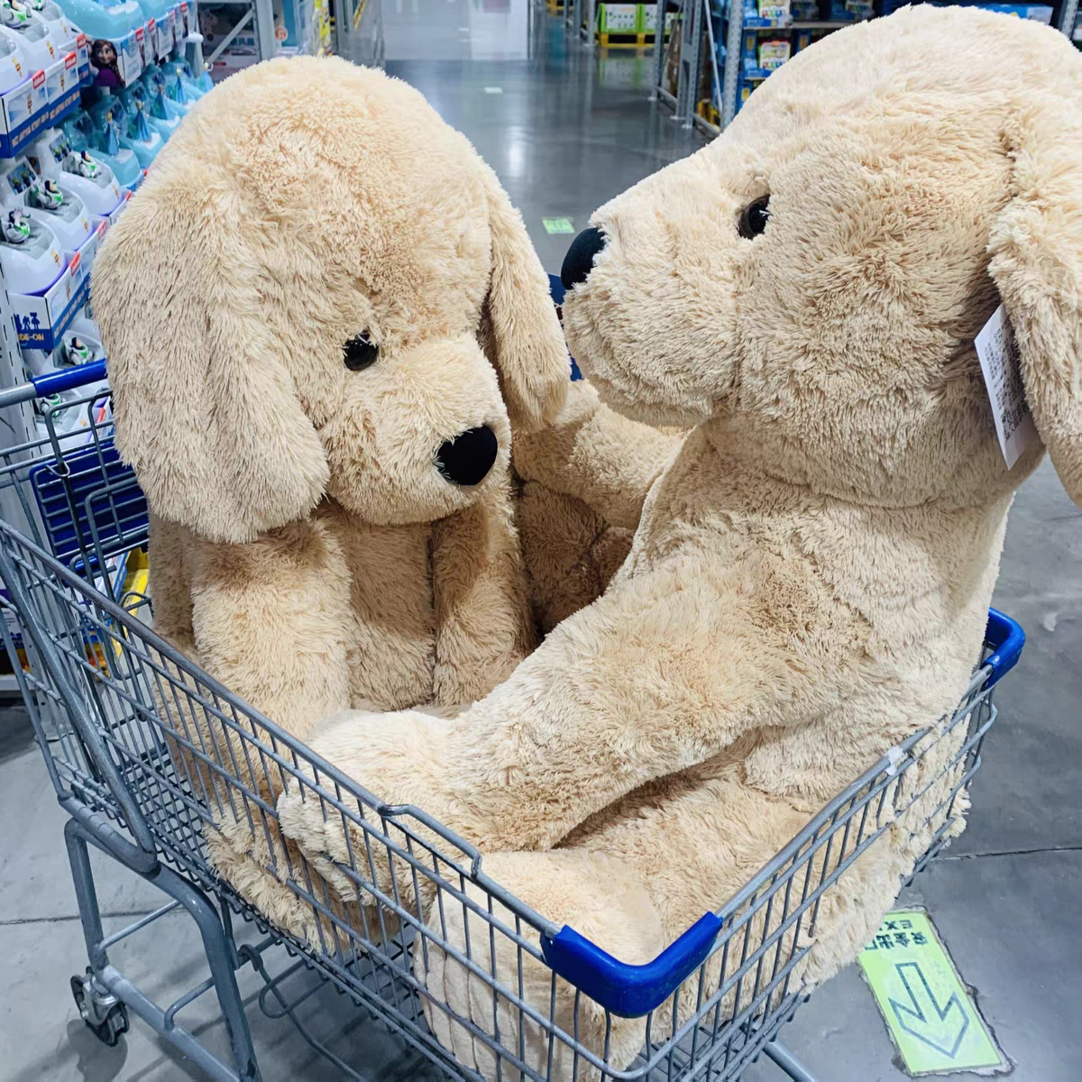 山姆狗狗毛绒玩具公仔大号巨型超大玩偶睡觉抱枕女友朋友生日礼物