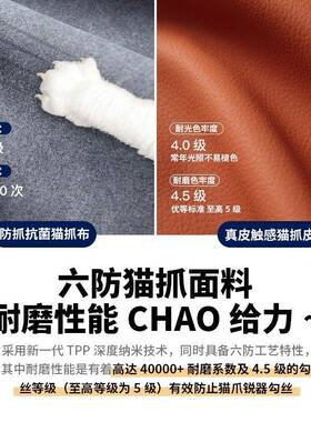 泡OZN抓芙布风艺沙发小户型客厅现代简猫约2025新款奶油公寓布沙