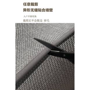 P66D高端入户地垫进门厅关走门廊毯玄FYR纯色编防织纹地毯家用滑