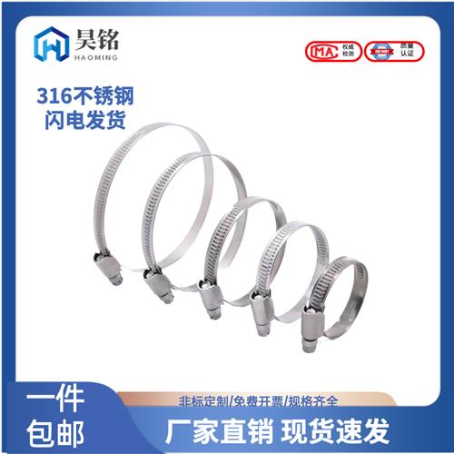 速发202德式喉箍6L不锈钢卡箍全钢水管抱箍子管卡油水管卡扣夹固