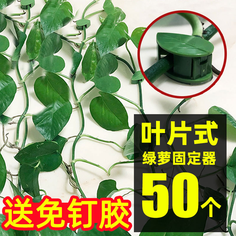 速发绿萝爬箩神器爬藤杆固定器夹子挂钩夹扣卡扣墙壁绿墙攀爬植物