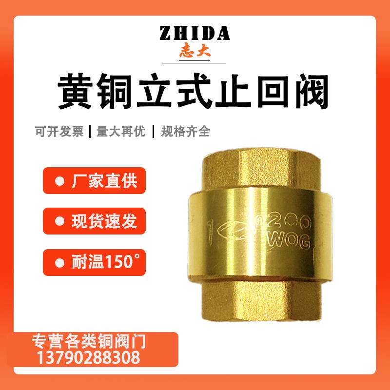 速发全铜立式止回阀 4/6分1寸 卧式逆止阀内丝水热道水表器水管止