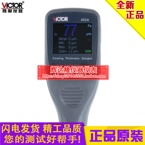 胜利仪器涂层测厚仪 铁基 磁性/镀锌层/漆膜/油漆测厚仪 VC852A