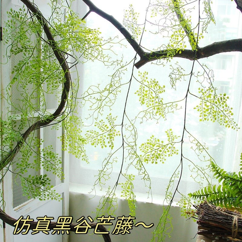 速发绿叶装条黑骨芒道假蕨类植物蔓藤管藤缠绕藤饰遮挡场景布造景
