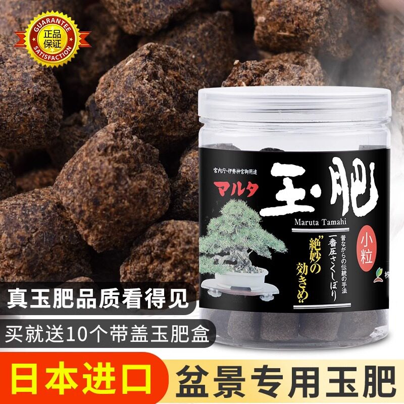 速发玉缓盆景专用松柏玉肥长效有机肥释肥颗装花肥分粒肥料盒