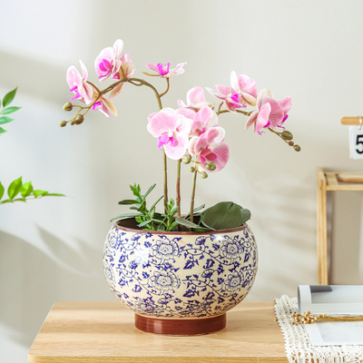 速发中瓷风花盆陶瓷家用青花国冬青感花蝴蝶兰轻奢高级兰大号