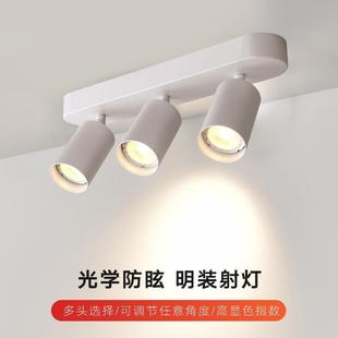 射灯led天花灯家用双头吸顶射灯轨道灯免开孔筒灯客厅无主灯 明装