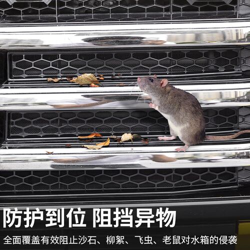 适用于坦克300中网不锈钢防虫网改装前脸蜂窝格栅散热Z罩装饰配件
